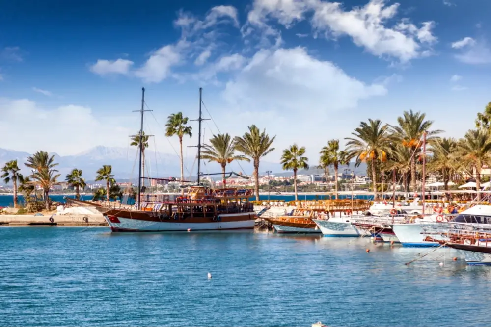 Boat-Tours-from-the-Harbor