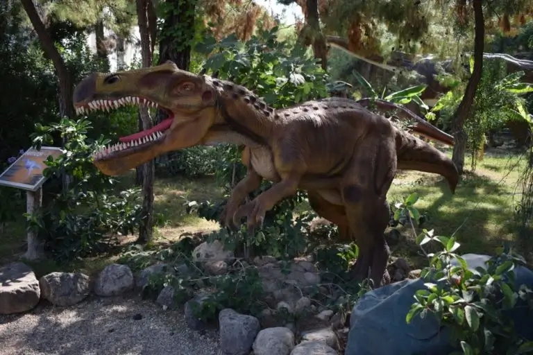 Dino-Park-Goynuk