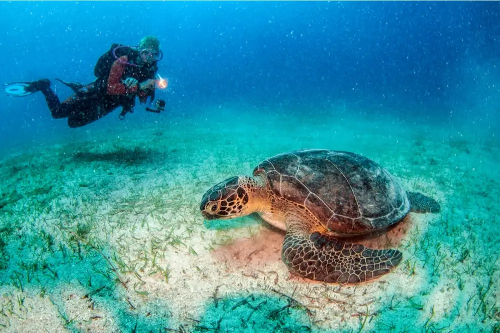 antalya-dental-travel-Scuba-Diving-and-Snorkeling