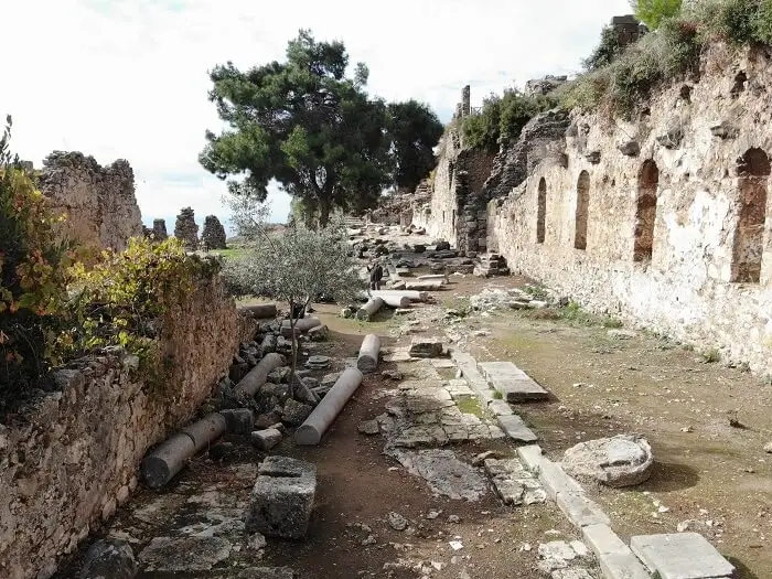 syedra-2