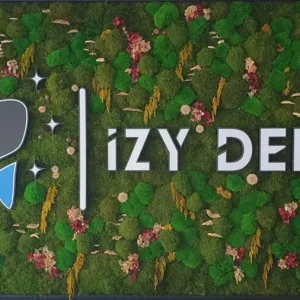 IZYDENT 02