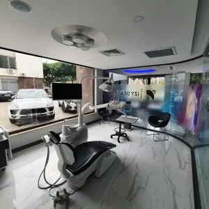 IZYDENT 07