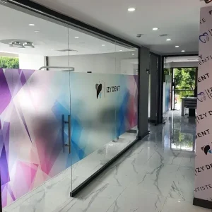 IZYDENT 09