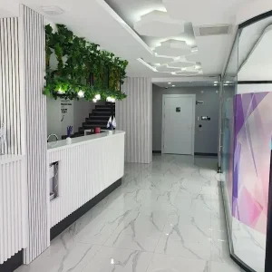 IZYDENT 10